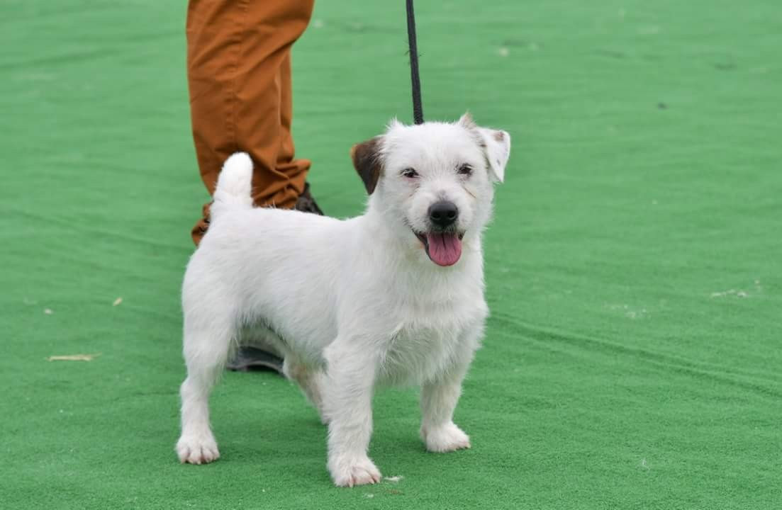 Lego De La Petite Gondelaine