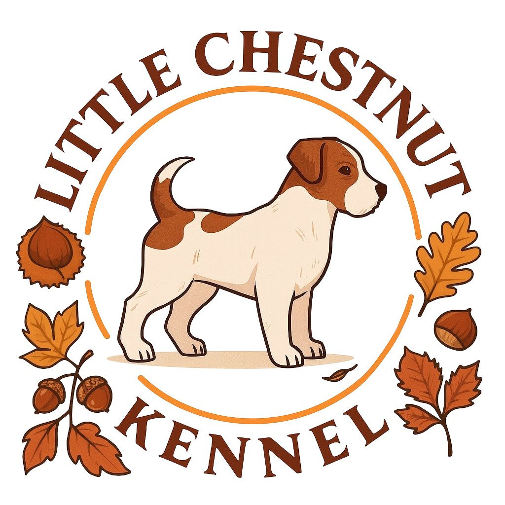 Prochaine portée 2026